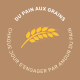 DU PAIN AUX GRAINS